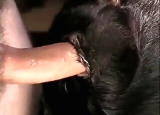 Sodomy sex with a dog at the old homestead