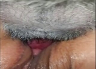 Masked angel is licking her doggy penis with pleasure