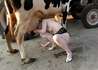 A sexy girl and a real cow are enjoying bestiality sex - зоо секс ...