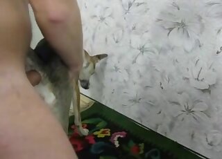 Dude's cock exploring her holes for the camera