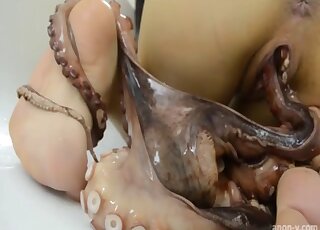 Crazy octopus porn action with a very sweet beauty