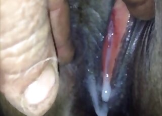 Gray Mare Orgasming 2 Gay Beast Com - Bestiality Porn Tube - Zoo Porn  Amateur, Zoo Porn Horse, Zoo Porn With Men at Katitube