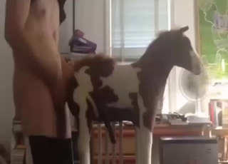 Horse plushie getting fucked by a kinky dude