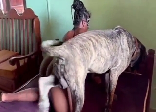 No holds barred bestiality sex with a brunette