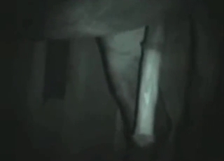 Dude chooses to fuck his horse with a fist too