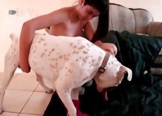 Doggo ravages this chick's hot hole