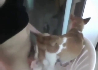 Big and hot fuck scene with a kinky doggo