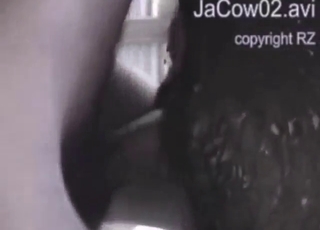 Guy sliding in and out of a wet cow's hot hole
