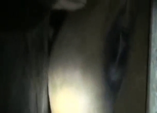 Japanese guy is going to fuck a sexy Asian mare