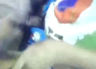 Nasty dog fuck movie with dildo play and more