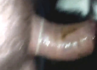 That dude knows how to dominate calf holes