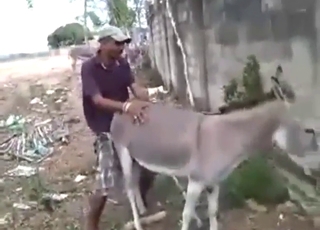 Donkey hole getting fucked from behind, too