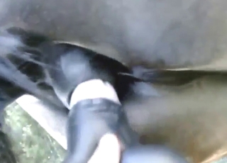 Big toy is going to be used for stallion's gay ass