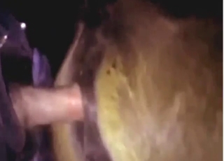 Horny guys with hard dicks are ALL about horses