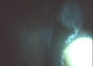 Mare fistfuck with close-ups and real orgasms