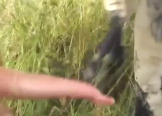 Bull in bestiality porn with hard cock being YUMMY