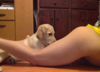 Asian girl with a sexy back licked by a mutt