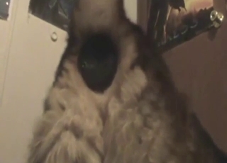 Orgasmic fisting, fingering, teasing, and more