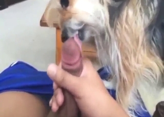 Puppy cocksucker wants to get off with the owner