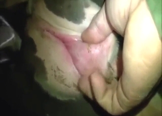 Finger-popping action with a slutty cow up close