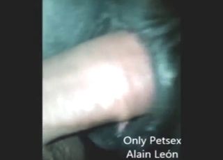 Facet zamierza wejść do mokrej małej cipki konia