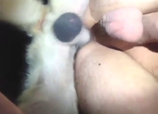 Dude with a tight ass fucked by a slutty dog