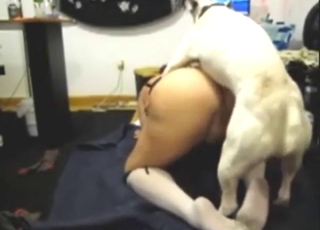 Deep and hard screwing session with a horny lady