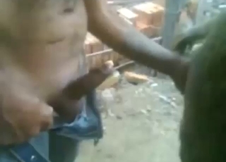 Donkey pussy will keep this motherfucker orgasming