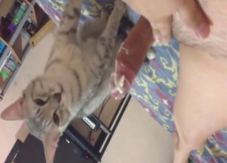Cat fucker showing what he can do to seduce