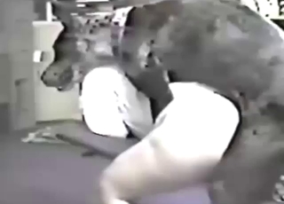 Doggystyle MILF fuck with a fat-assed momma