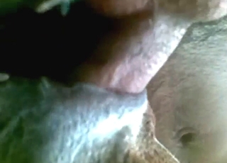 Guy with big balls wants to fuck a sexy beast