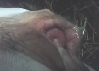 Cow pussy is going to get power-fucked, fisted