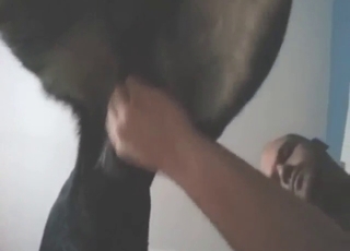 Sexy animal is going to take a nice fist inside