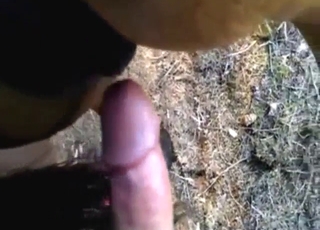Small mare with a tender pussy wants fucking