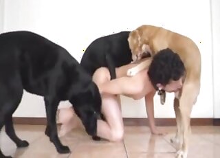 Threesome With Dog