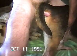 Fucking my doggy's tight anal hole from behind on cam