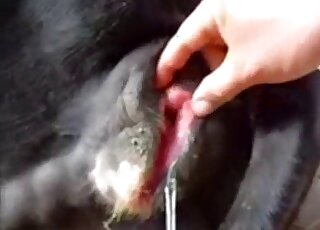 A cute white man is playing with a dog's ass