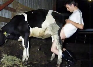 Goodman fucked his trained cow in the old barn