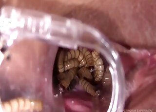 Dirty worms are filling out her little wet vagina