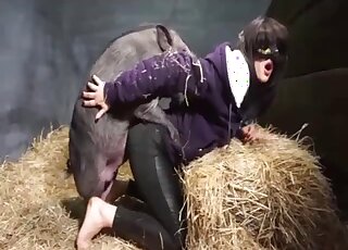 Sensual pig is enjoying hardcore amateur bestiality - heste dyresex   