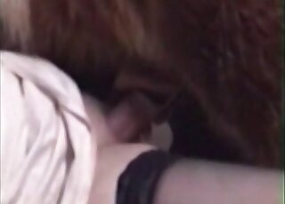 Exotic creature pornography recorded up close